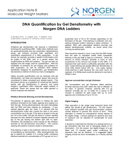 DNA Quantification by Gel Densitometry with Norgen DNA Ladders