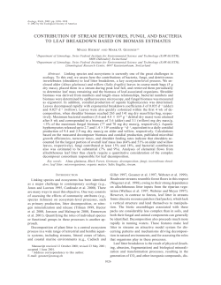 contribution of stream detrivores, fungi, and bacteria to leaf