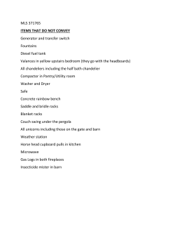 MLS 371765 ITEMS THAT DO NOT CONVEY Generator and