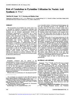 Role of Catabolism in Pyrimidine Utilization for