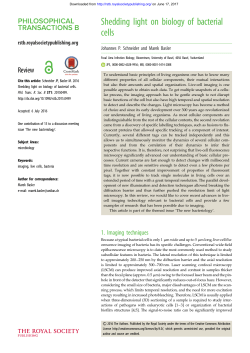 Shedding light on biology of bacterial cells