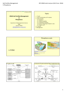 Topics Phosphorus cycle
