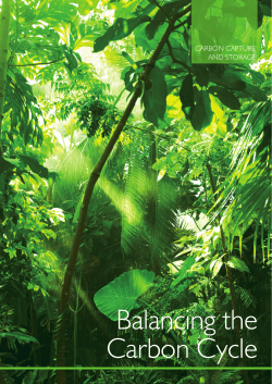 Balancing the Carbon Cycle