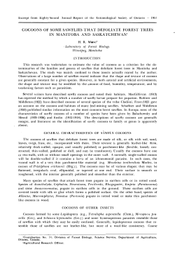 cocoons of some sawflies that defoliate forest trees in