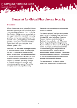 Blueprint for Global Phosphorus Security