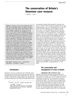 The conservation of Britain`s limestone cave resource