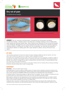 - Cabi Africa Soil Health Consortium