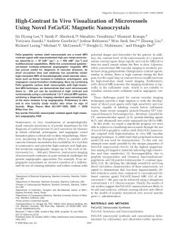 High-contrast in vivo visualization of microvessels using novel FeCo