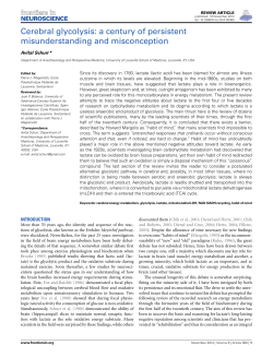 Cerebral glycolysis: a century of persistent misunderstanding and