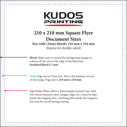 210 x 210 mm Square Flyer Document Sizes