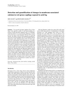 Detection and quantification of changes in membrane