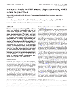 Molecular basis for DNA strand displacement by