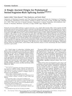 A Single Ancient Origin for Prototypical Serine