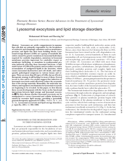thematic review - University of Michigan