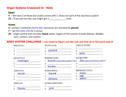 Organ Systems Crossword II - Hints Down 4 &ndash; We have 2 of these