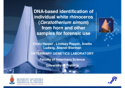 DNA-based identification of individual white rhinoceros