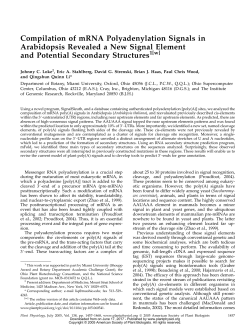 Compilation of mRNA Polyadenylation Signals in Arabidopsis