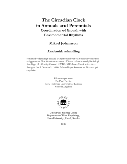 The Circadian Clock in Annuals and Perennials