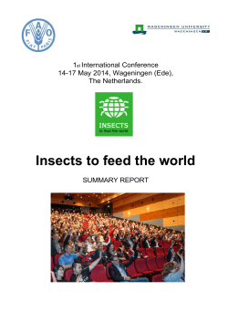 Insects to Feed The World