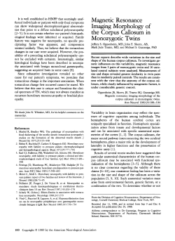 Magnetic resonance imaging morphology of the corpus callosum in