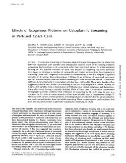 Effects of Exogenous Proteins on Cytoplasmic Streaming in