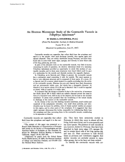 Tokophrya infusionum - The Journal of Cell Biology
