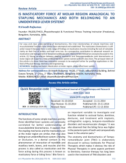 is masticatory force at molar region analogical to stapling