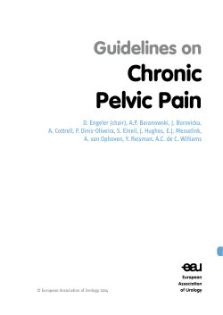 Guidelines on Chronic Pelvic Pain