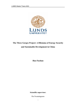The Three Gorges Project: A Dilemma of Energy Security
