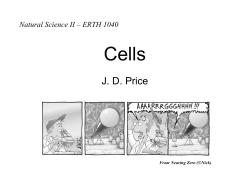 Cells