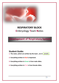 embryology2012-02-08 22:471.6 MB