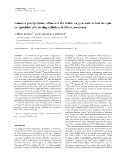 Summer precipitation influences the stable oxygen and carbon