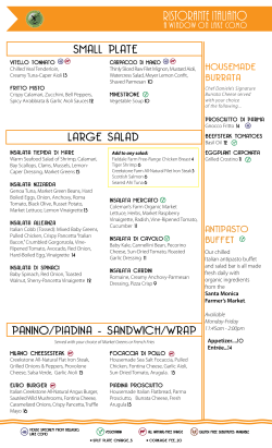 small plate paNINo/pIadINa - saNdWICH/Wrap large salad