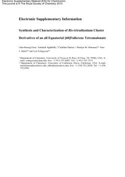 Electronic Supplementary Information