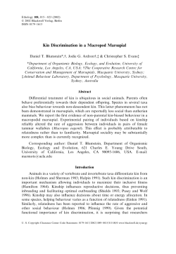 Kin Discrimination in a Macropod Marsupial