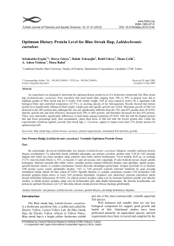 Optimum Dietary Protein Level for Blue Streak Hap, Labidochromis