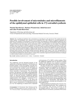 Possible involvement of microtubules and microfilaments of the