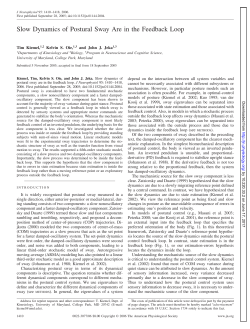 Slow Dynamics of Postural Sway Are in the Feedback Loop