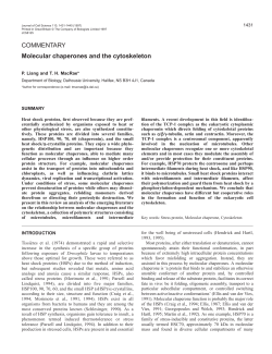COMMENTARY Molecular chaperones and the cytoskeleton