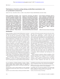 Mechanism of protein sorting during erythroblast