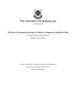 The Role of Functional Knowledge in Children`s