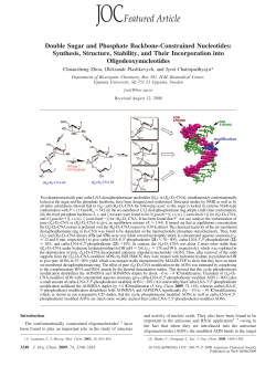 Double Sugar and Phosphate Backbone