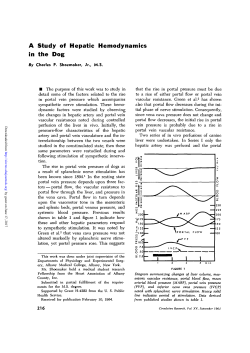 A Study of Hepatic Hemodynamics in the Dog