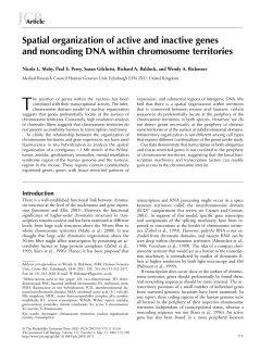 Spatial organization of active and inactive genes and noncoding