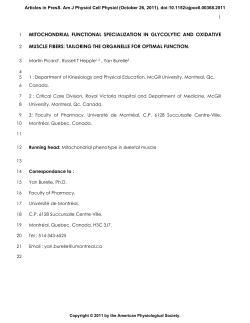mitochondrial functional specialization in glycolytic and oxidative