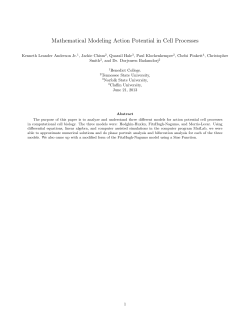 Mathematical Modeling Action Potential in Cell Processes