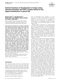 Central functions of bicarbonate in S
