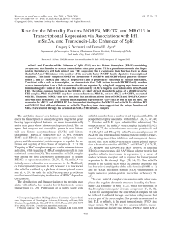 Role for the Mortality Factors MORF4, MRGX, and MRG15 in