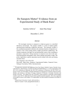 Do Sunspots Matter? Evidence from an Experimental Study of Bank