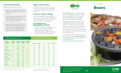 Beans - GreenStar